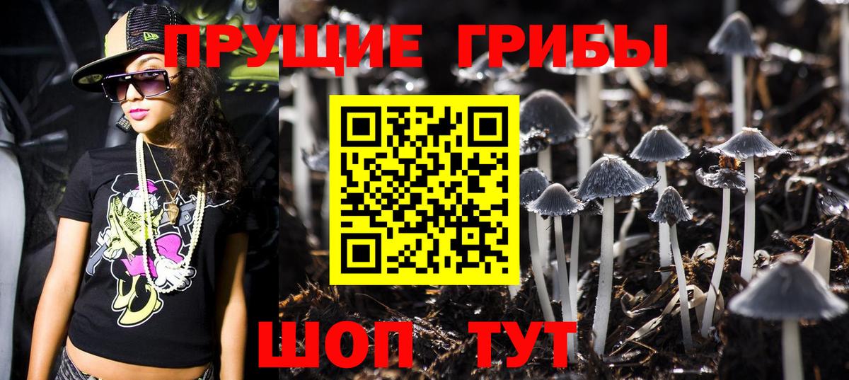 хочу   Галлюциногенные грибы MAGIC MUSHROOMS  Вход с VPN  Зеленогорск 