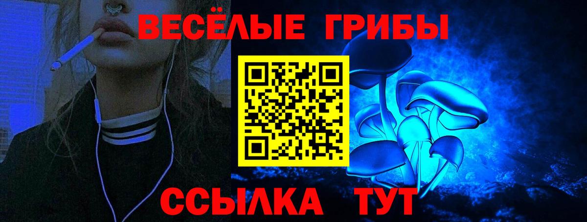 Псилоцибиновые грибы Psilocybe Зеленогорск