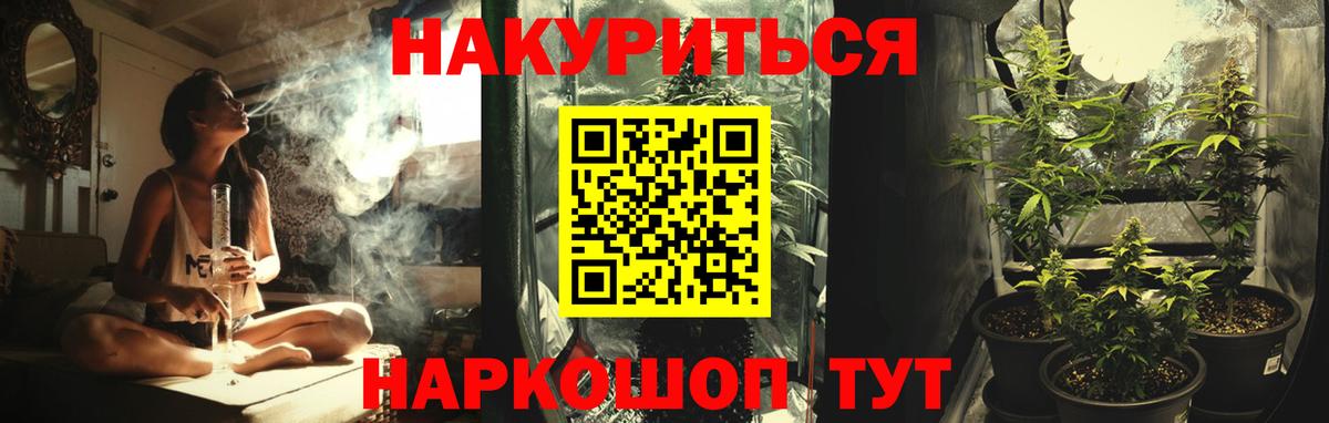 Канабис планчик Зеленогорск